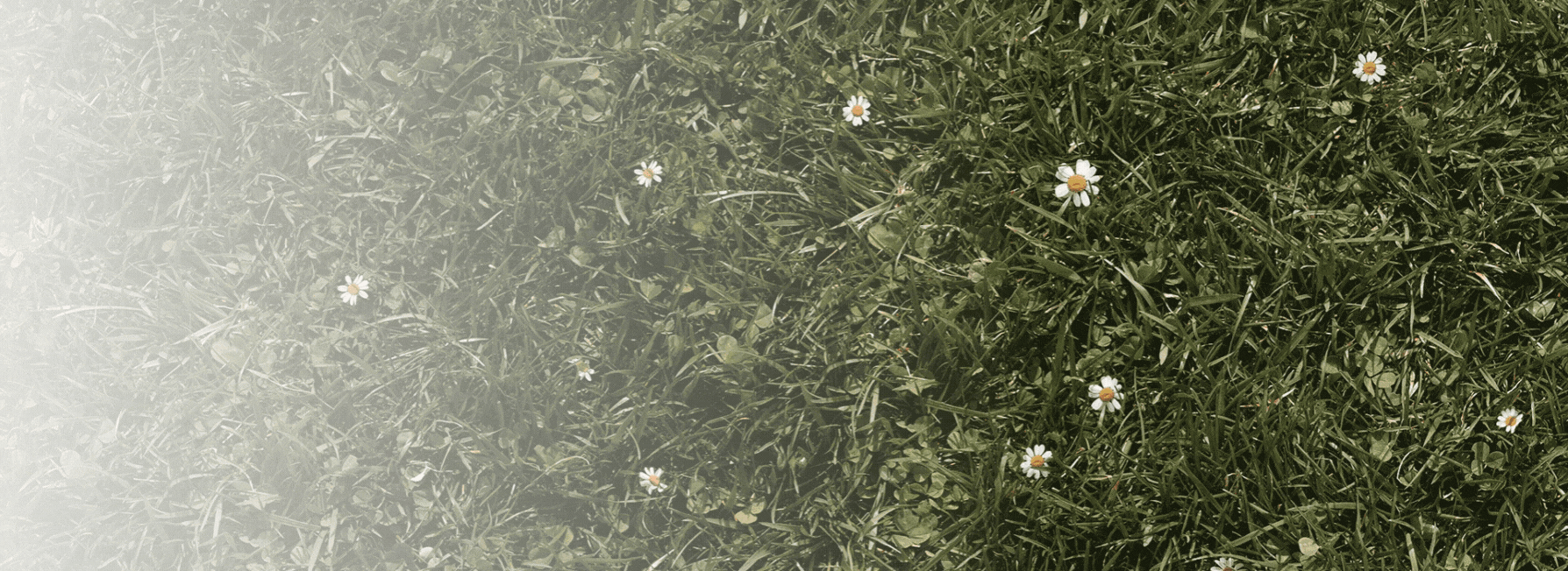 Dwa produkty Superfood w rozmiarze podróżnym za jedyne 55zł z kodem SUPERFOOD